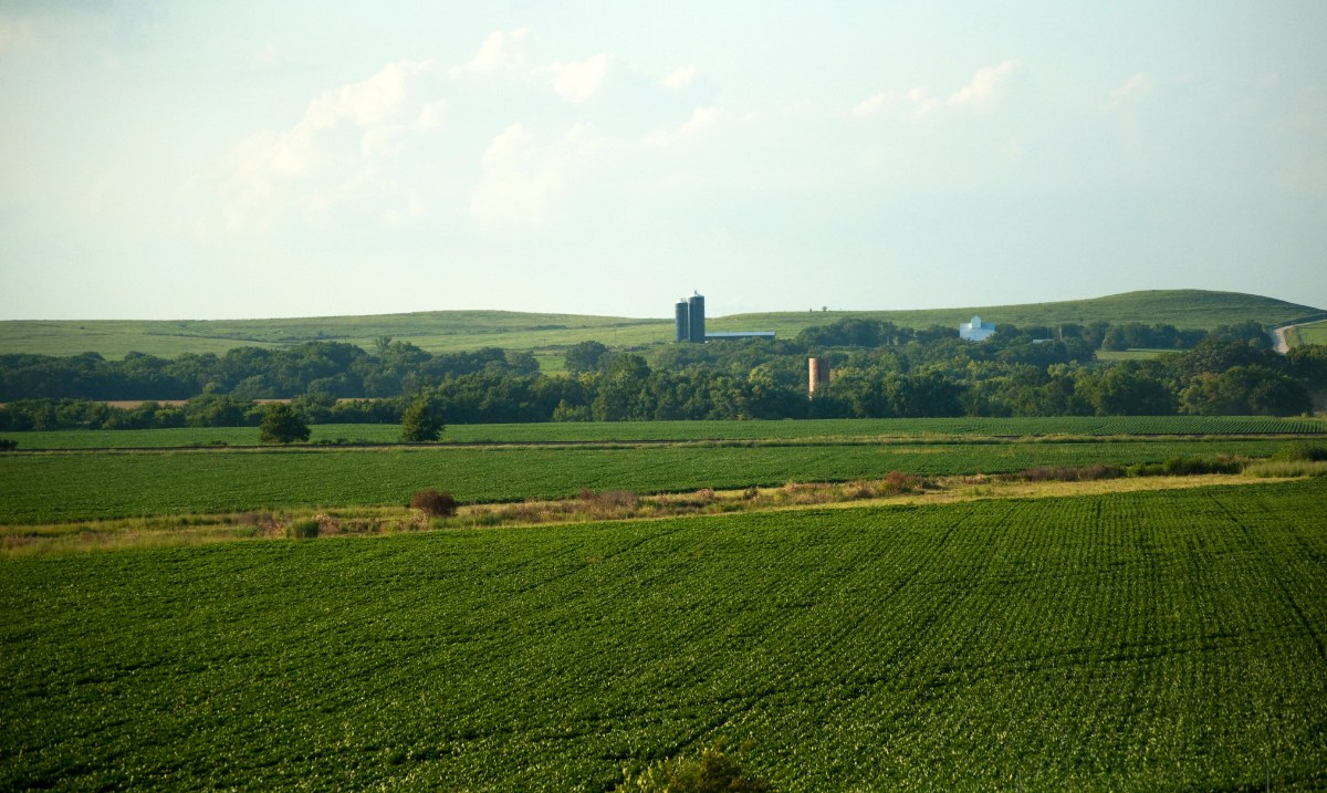 Rural Kansas farmland landscape representative of the Piper, KS area